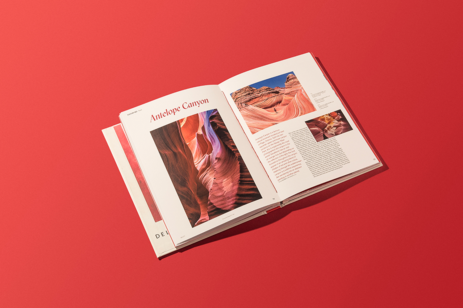 EDITORIAL - MONOGRAPHY MAGAZINE